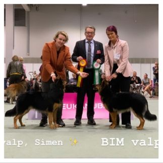 Simen BOB * Chloé BOS